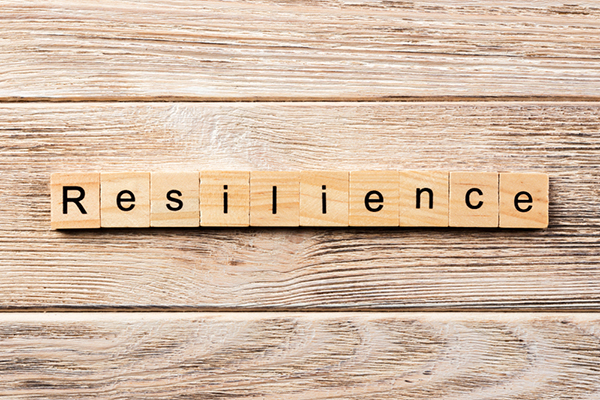 LM 25 | Resilience Training
